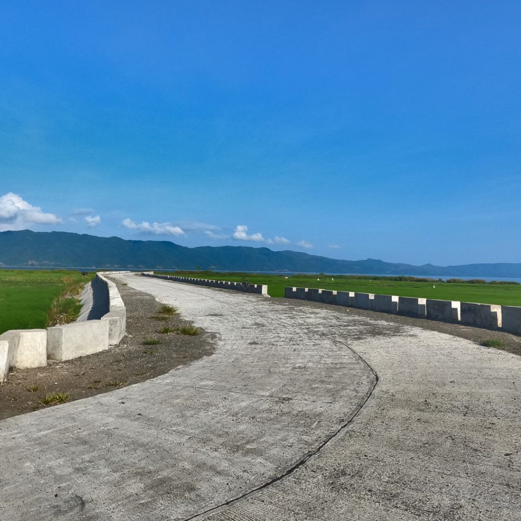 road in the rice fields