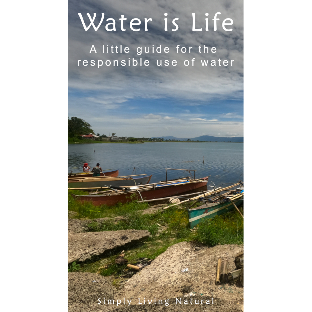 <span class="ebook">Water is Life</span>