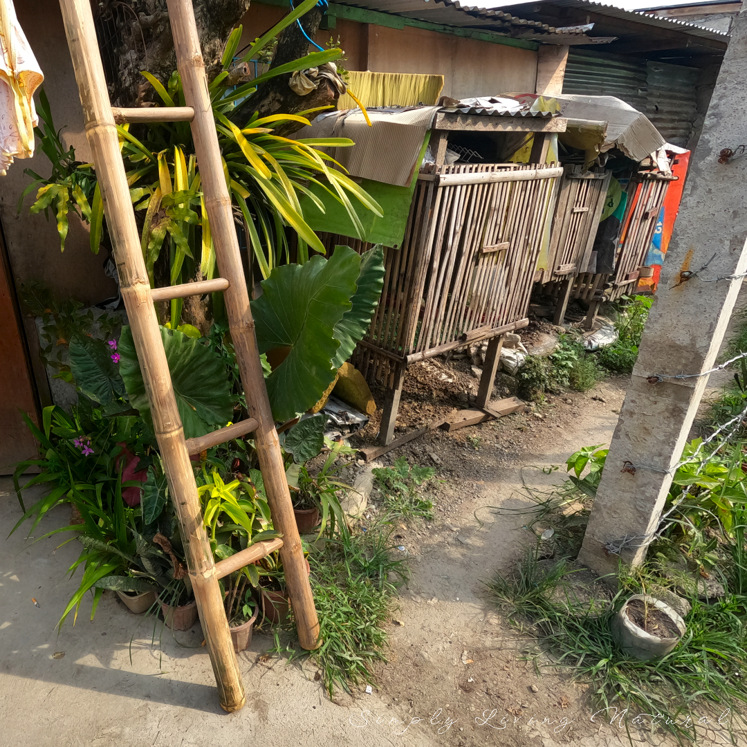 Read more about the article Working with Bamboo