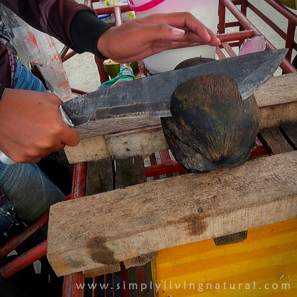 Opening a coconut