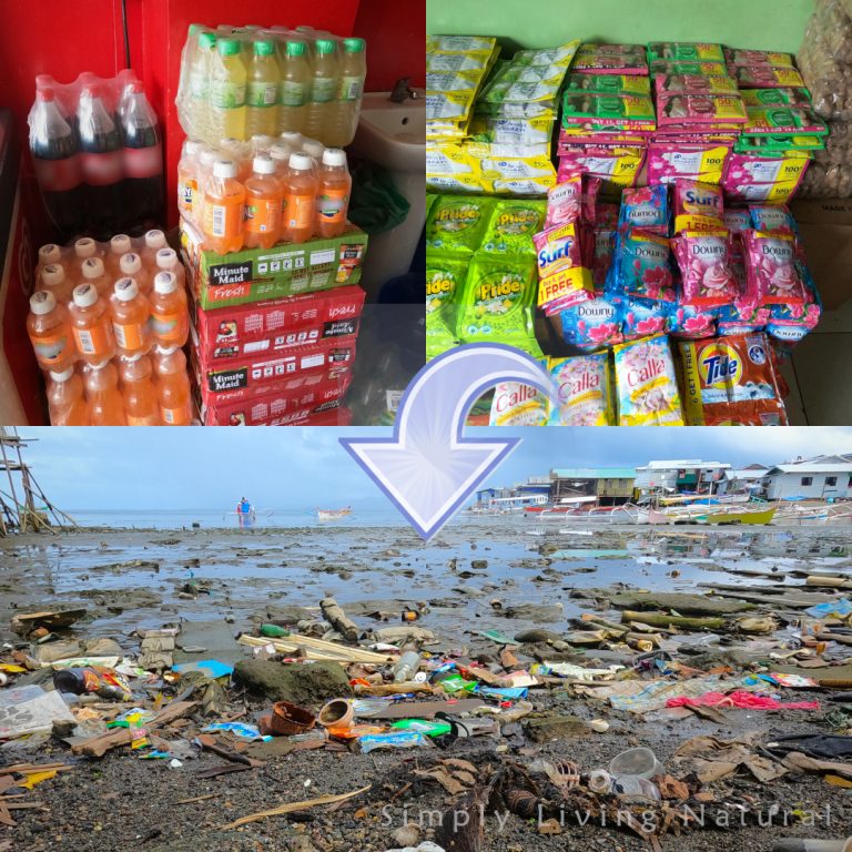 Read more about the article Ocean Plastic