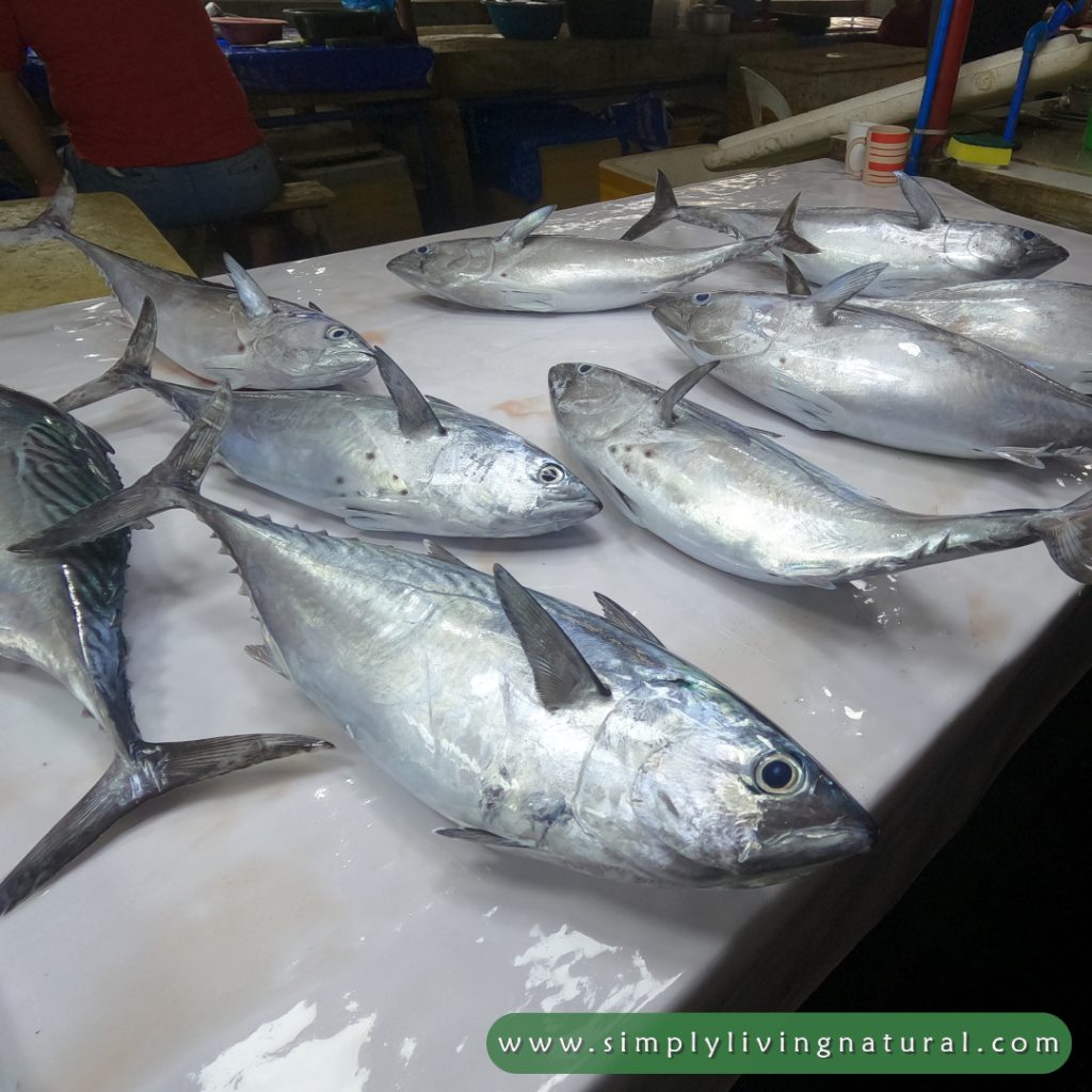Fish lined up at a fish market