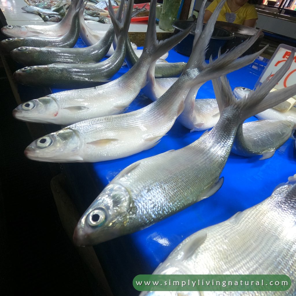 Fish lined up at a fish market