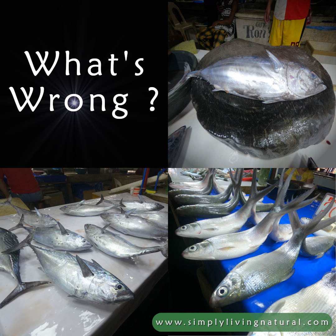 Read more about the article The dirty secret