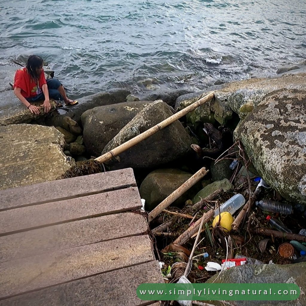 Shoreline polluted with waste