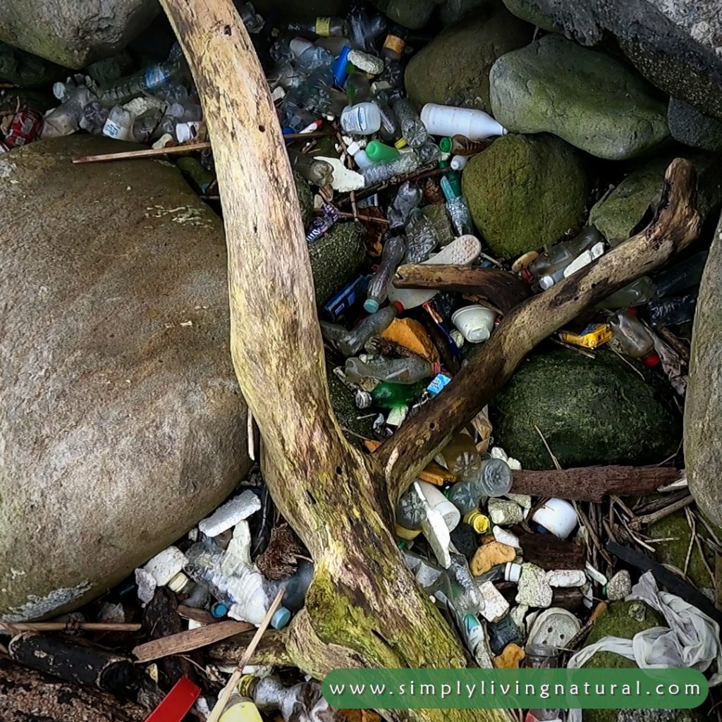 Place polluted with plastic bottles and other garbage