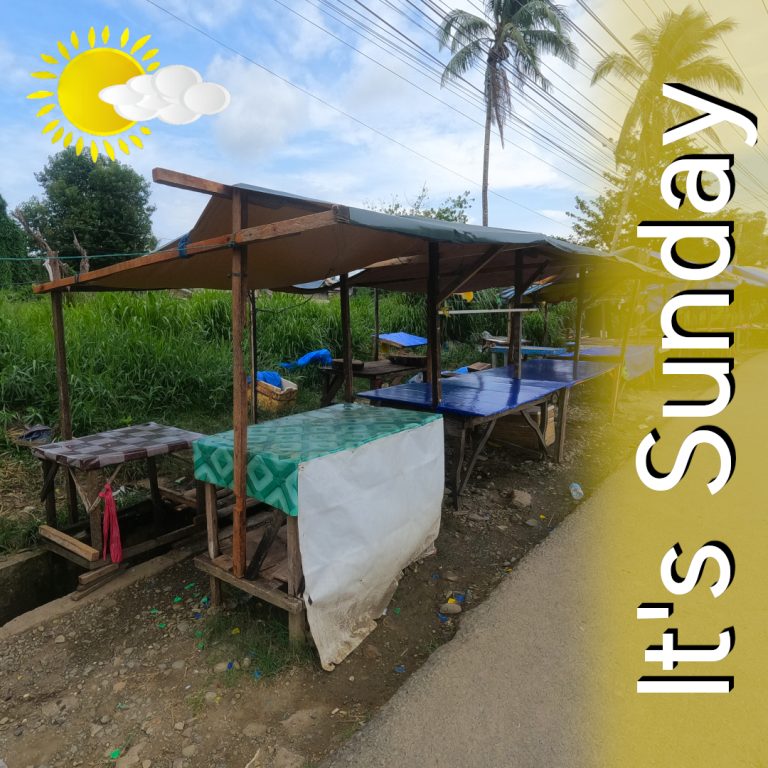 Read more about the article Sunday – Day of Food Rescue