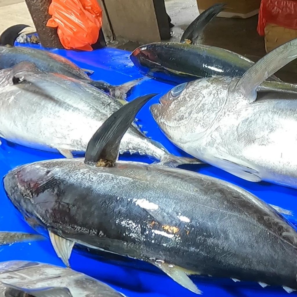 fish on a fish market