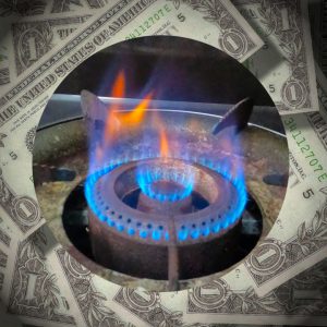 Read more about the article Burn Fuel not Money